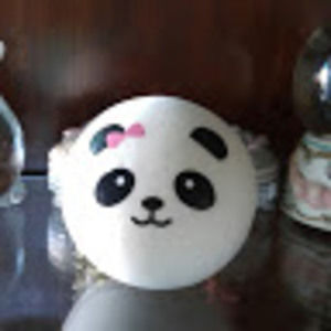 Meet your Posher, Panda